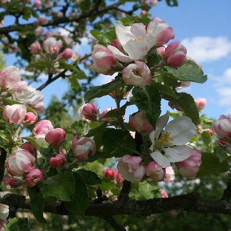 Gaestrum Gnottnehult Osterbymo Екстер'єр фото